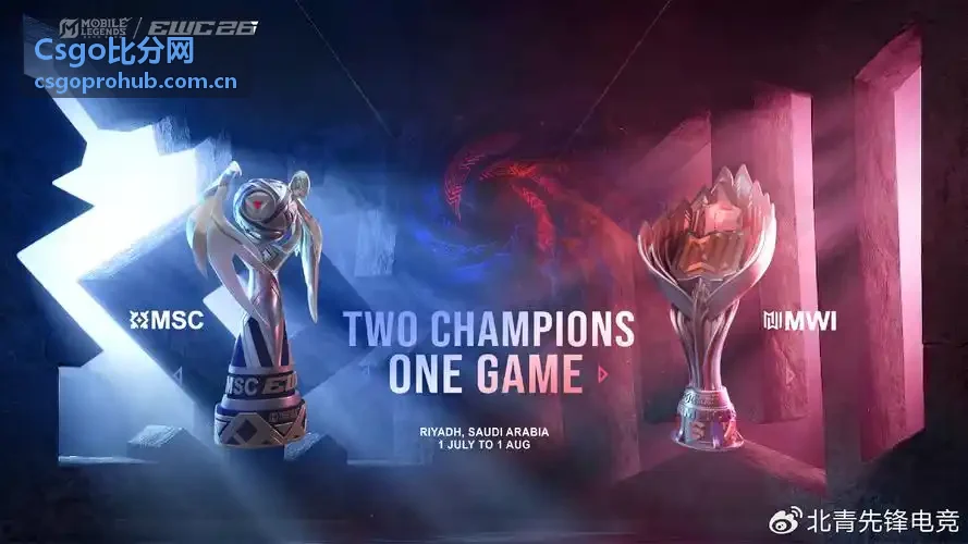 Csgo比分网战队数据榜单页面预览